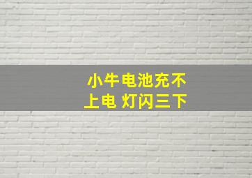 小牛电池充不上电 灯闪三下